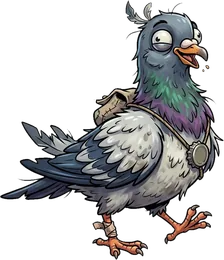 Pigeon de ville