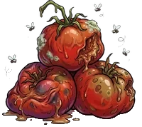 Tomates pourries